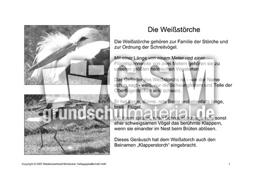 Fehlerlesen-Weißstorch-Lesetext-Sw-1.pdf